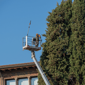 manutenzione e potature giardini