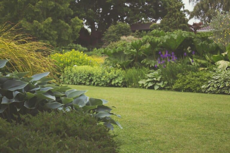 manutenzione del giardino