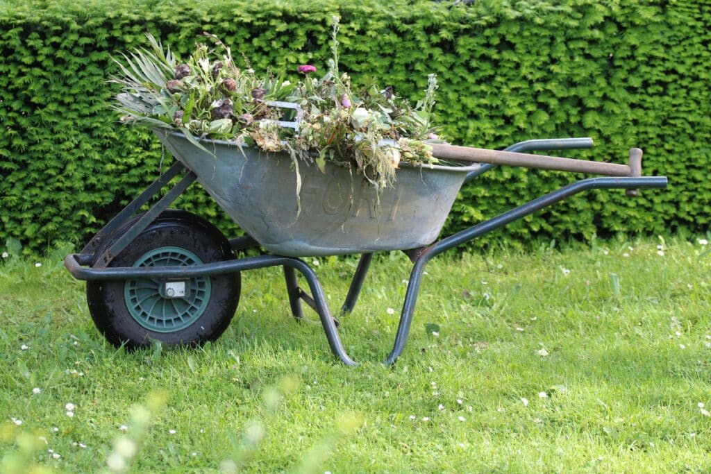 Old wheelbarrow filled with garden waste and weeds in a lush green backyard.