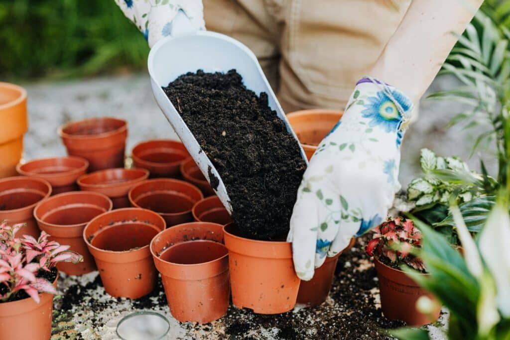 A person wearing gloves fills terracotta pots with soil for planting outdoors.