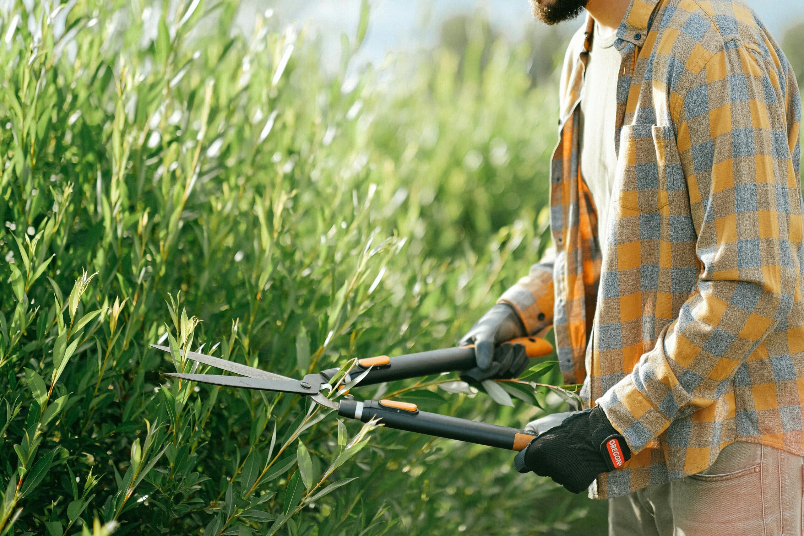 manutenzione del giardino